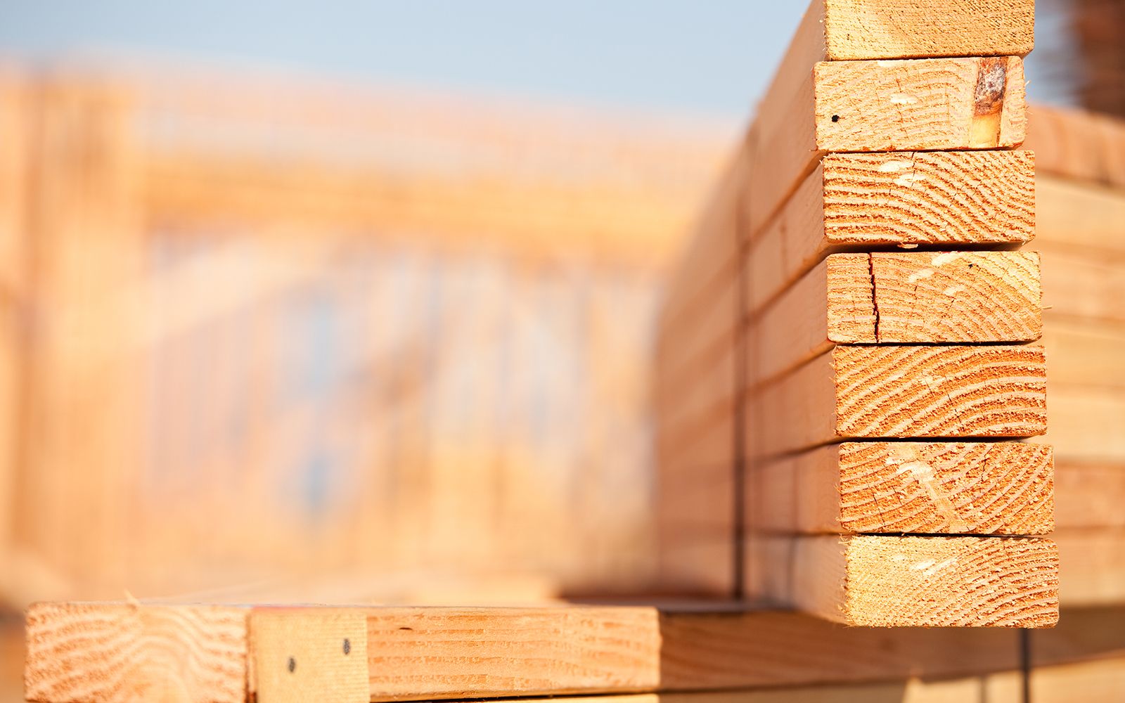 The Great Lumber Lag Of 2021: Here's Why High Prices Stick